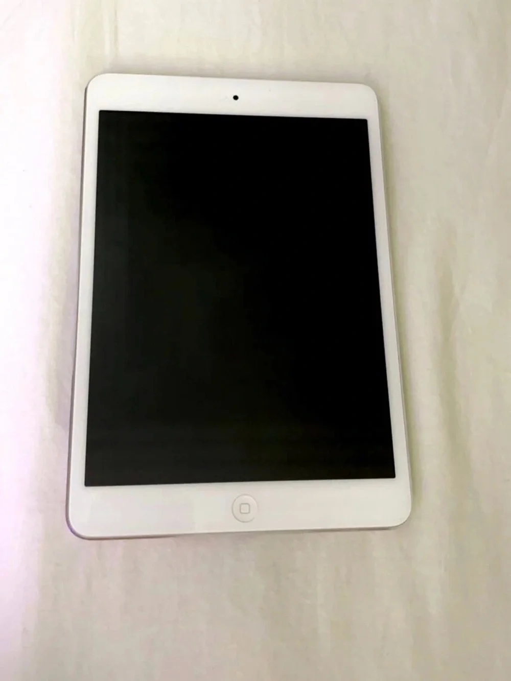 Apple iPad - Silver Back